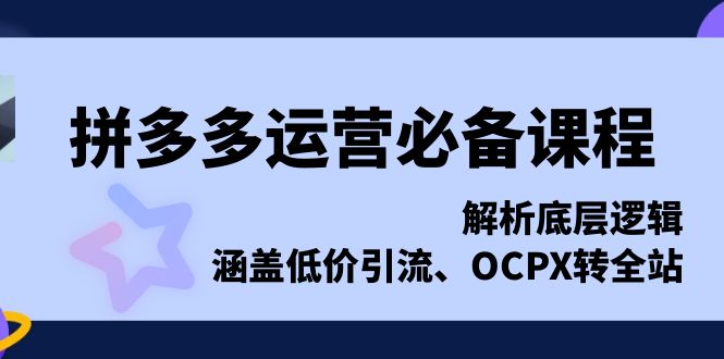 <span style='color:#078a00'>拼多多运营必备课程，解析底层逻辑，涵盖低价引流、OCPX转全站</span>