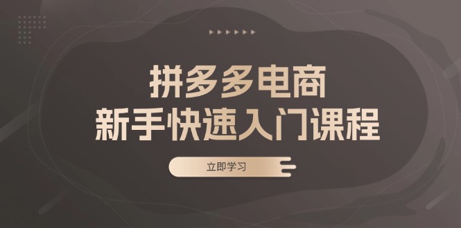<span style='color:#bd7800'>拼多多电商新手快速入门课程：涵盖基础、实战与选款，助力小白轻松上手</span>
