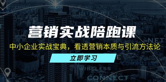 <span style='color:#078a00'>营销实战陪跑课：中小企业实战宝典，看透营销本质与引流方法论</span>