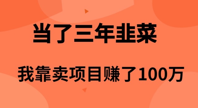 <span style='color:#078a00'>当了3年韭菜，我靠卖项目赚了100万</span>