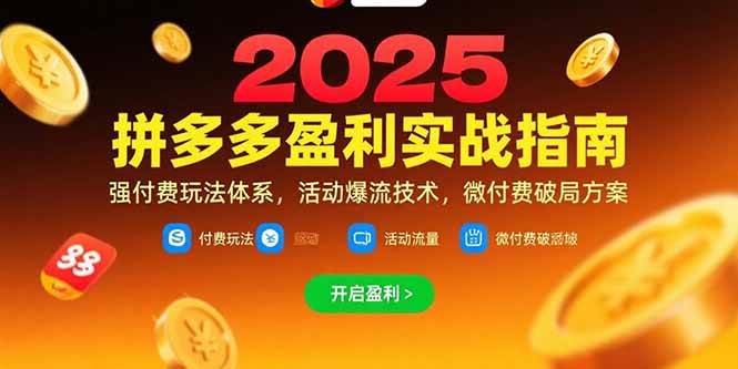 拼多多盈利实战指南,强付费玩法,活动爆流技术,微付费破局方案(更新)