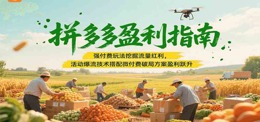 拼多多盈利指南:强付费玩法挖掘流量红利,活动爆流技术搭配微付费方案实现盈利跃升