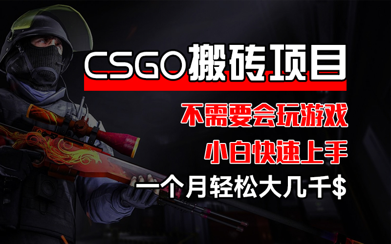 CSGO装备搬砖项目操作指南:流程简单无需游戏经验,新手也能快速掌握完整方法