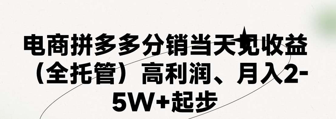 拼多多新店运营实战指南:零基础快速入门,老运营全程代操作助销量破百