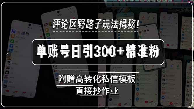 （15466期）评论区野路子玩法揭秘！单账号日引300+精准粉，附赠高转化私信模板，直…