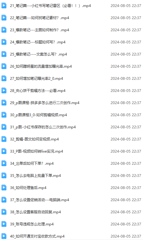（12003期）2024小红书电商实战课：全体系打造 全方位梳理 小红书电商逻辑体系 (42节)（3）