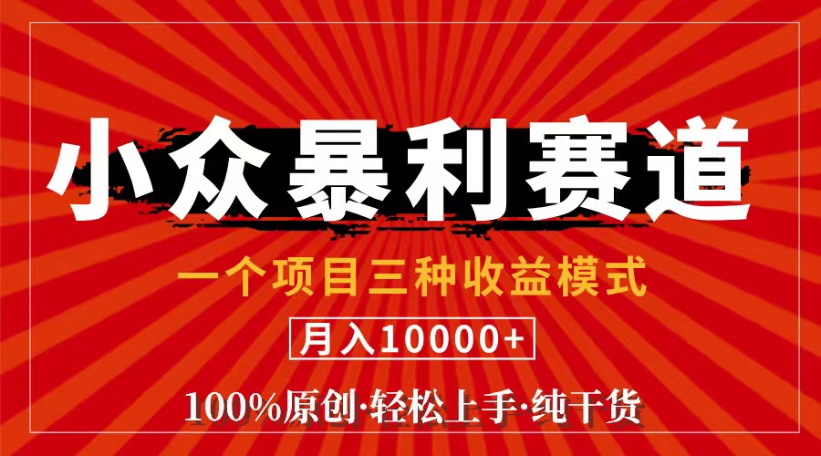 (11695期)视频号【中老年粉深信不疑】小众赛道 100%原创 手把手教学 新号3天收益…