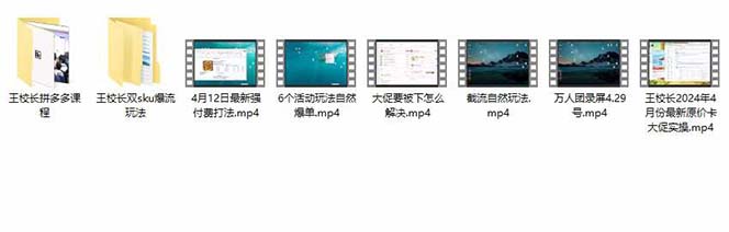 （10865期）拼多多·实战课：万人团玩法/截流自然流/最新强付费打法/最新原价卡大促..（3）