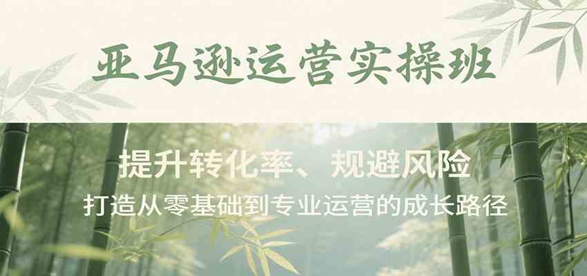 亚马逊运营实操班，提升转化率、规避风险，打造从零基础到专业运营的成长路径
