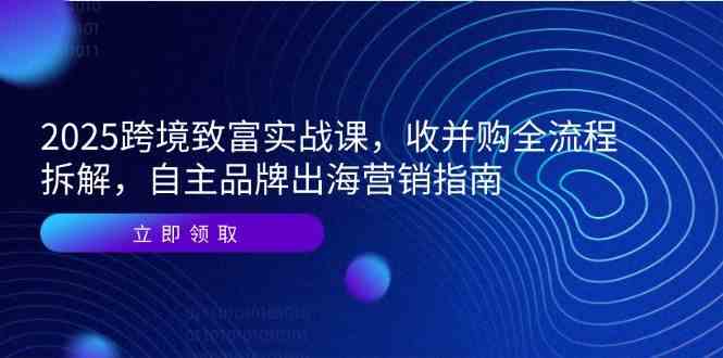 2025跨境致富实战课,收并购全流程拆解,自主品牌出海营销指南 2025跨境致富实战课,收并购全流程拆解,自主品牌出海营销指南