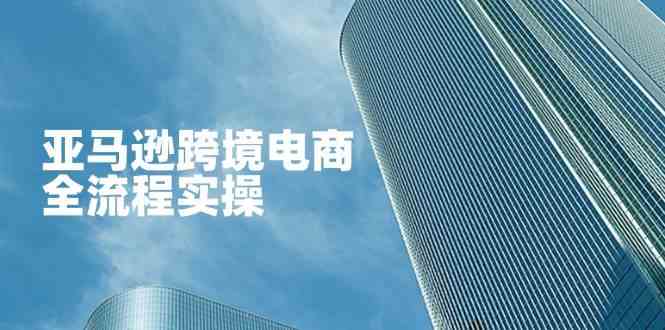 亚马逊跨境电商全流程实操,教你从零开始,掌握店铺运营与广告技巧 亚马逊跨境电商全流程实操,教你从零开始,掌握店铺运营与广告技巧