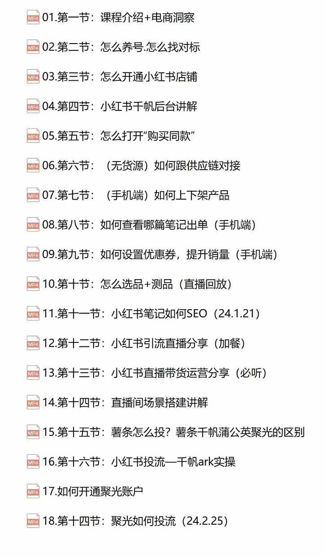 小红书快速赚钱电商特训营：用简单方式通过小红书快速变现！（55节）（2）