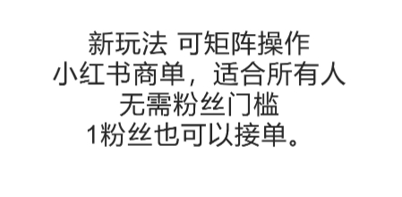 零粉接单新机遇、小红书商单矩阵玩法、操作简易适合所有人