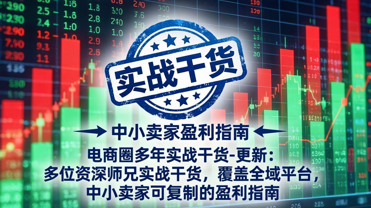 电商圈实战干货，资深师兄分享，中小卖家覆盖全域平台可复制盈利指南