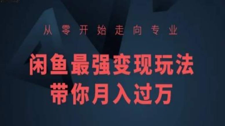 从零开始走向专业，闲鱼最强变现玩法带你月入过万 - 猎人社区-猎人社区