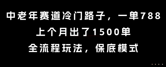 中老年赛道冷门路子，一单788，上个月出了1500单，全流程玩法，保底模式【揭秘】 - 猎人社区-猎人社区