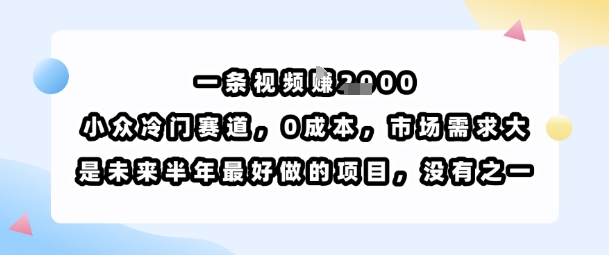 一条视频挣1k，小众冷门赛道，0成本，市场需求大，是未来半年最好做的项目，没有之一 - 猎人社区-猎人社区