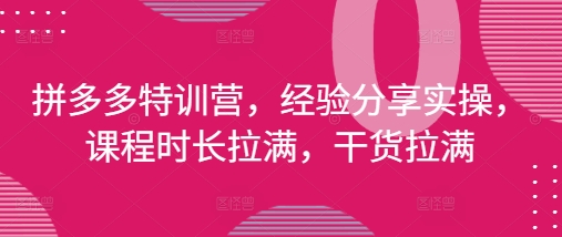 拼多多特训营，经验分享实操，课程时长拉满，干货拉满(更新25年4月) - 猎人社区-猎人社区