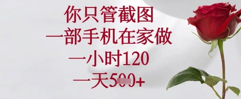 你只管截图，一部手机在家可以做，一小时120.一天5张+【揭秘】 - 猎人社区-猎人社区