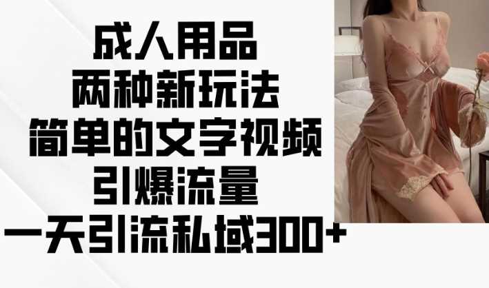成人用品两种新玩法，简单的文字视频引爆流量，一天引流私域300+ - 猎人社区-猎人社区