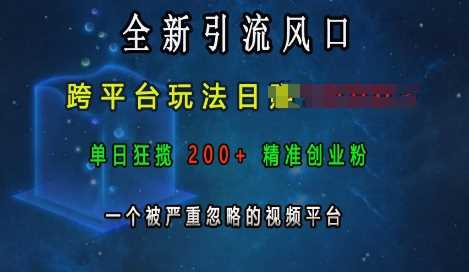 全新引流风口，跨平台玩法日入上k，单日狂揽200+精准创业粉，一个被严重忽略的视频平台 - 猎人社区-猎人社区