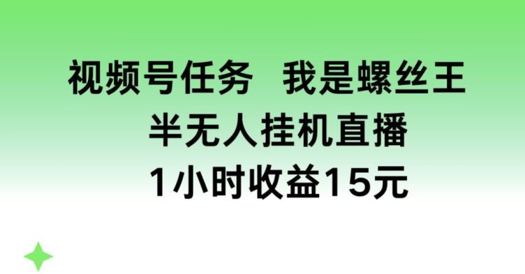 视频号任务，我是螺丝王， 半无人挂机1小时收益15元【揭秘】 - 猎人社区-猎人社区