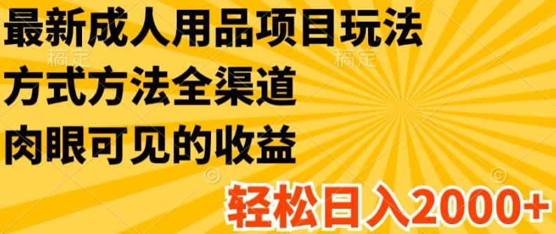 最新成人用品项目玩法，方式方法全渠道，轻松日入2K+【揭秘】 - 猎人社区-猎人社区