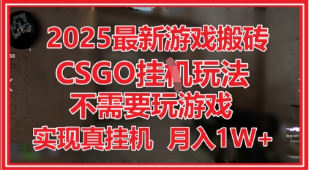 2025最新游戏搬砖，CSGO挂G，不需要玩游戏，实现真挂G，月入1W+【揭秘】 - 猎人社区-猎人社区