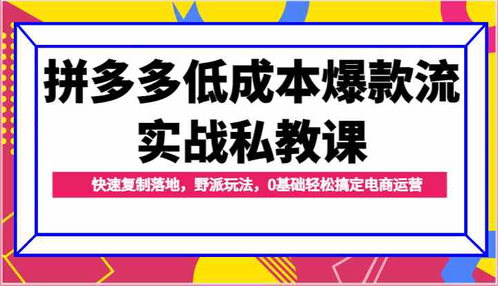 拼多多低成本爆款流实战私教课，快速复制落地，野派玩法，0基础轻松搞定电商运营 - 猎人社区-猎人社区