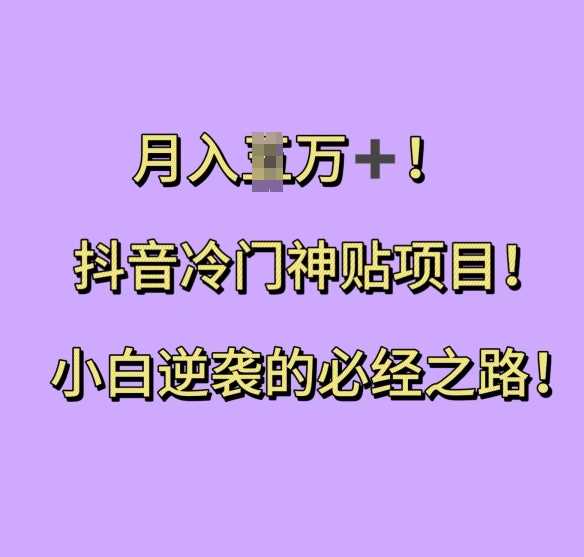 抖音冷门神贴项目，小白逆袭的必经之路，月入过W【揭秘】 - 猎人社区-猎人社区