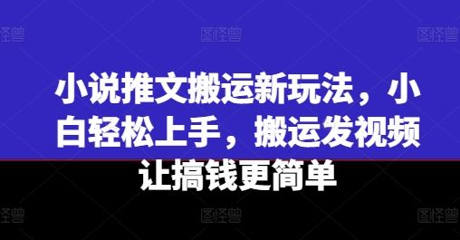 小说推文搬运新玩法，小白轻松上手，搬运发视频让搞钱更简单 - 猎人社区-猎人社区
