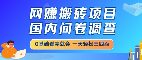 网创搬砖项目，国内问卷调查，小白轻松上手，一天三四张的也不难，干就完了【揭秘】-猎人社区