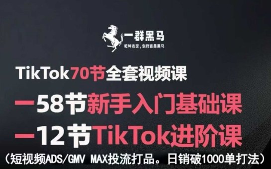 TikTok全套视频课，新手入门+进阶课，短视频ADS-GMV MAX投流打品，日销破1000单打法-猎人社区