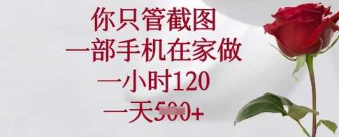 你只管截图，一部手机在家做，一小时120.一天5张【揭秘】 - 猎人社区-猎人社区
