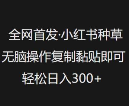 全网首发，小红书种草无脑操作，复制黏贴即可，轻松日入3张 - 猎人社区-猎人社区