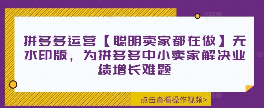 拼多多运营【聪明卖家都在做】无水印版，为拼多多中小卖家解决业绩增长难题 - 猎人社区-猎人社区