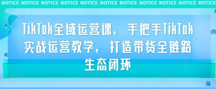 TikTok全域运营课，手把手TikTok实战运营教学，打造带货全链路生态闭环 - 猎人社区-猎人社区