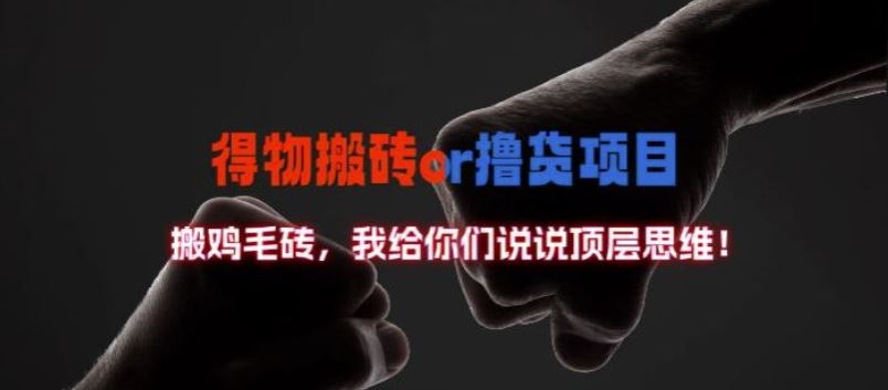 得物搬砖撸货项目?掰下数据，我给你们说说顶层思维【揭秘】 - 猎人社区-猎人社区