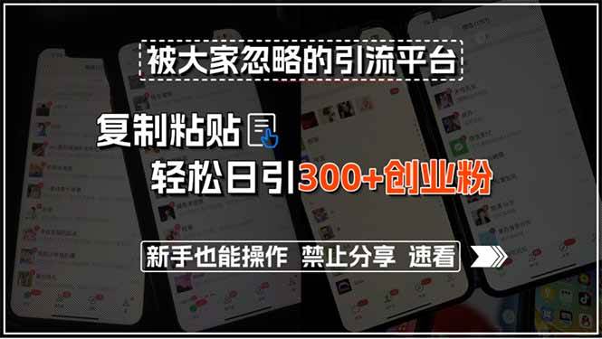 被大家忽略的引流平台，复制粘贴轻松日引300+创业粉，新手也能操作，禁… - 猎人社区-猎人社区