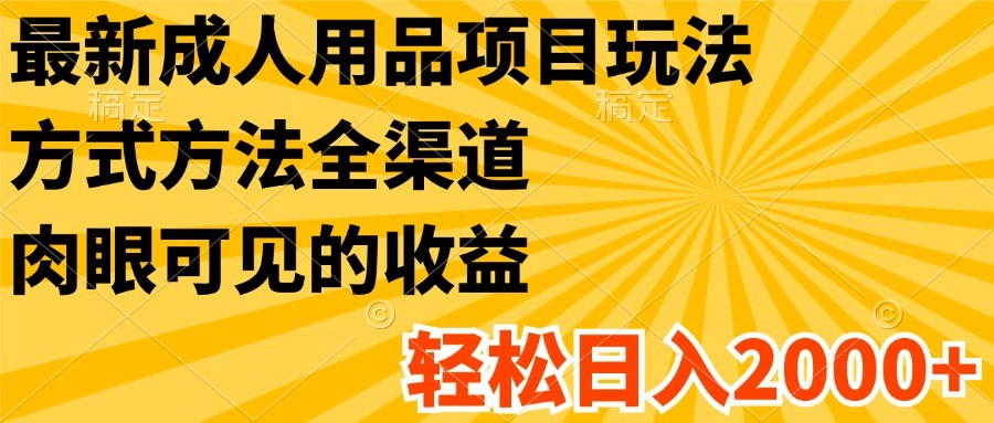 最新成人用品项目玩法，方式方法全渠道，肉眼可见的收益，轻松日入2000+-猎人社区
