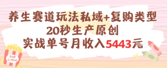 养生赛道玩法私域+复购类型，20秒生产原创实战单号月收入5k+ - 猎人社区-猎人社区