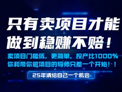 只有卖项目才能做到稳挣不赔，门槛低，更简单，你也可以年入百个W【揭秘】 - 猎人社区-猎人社区
