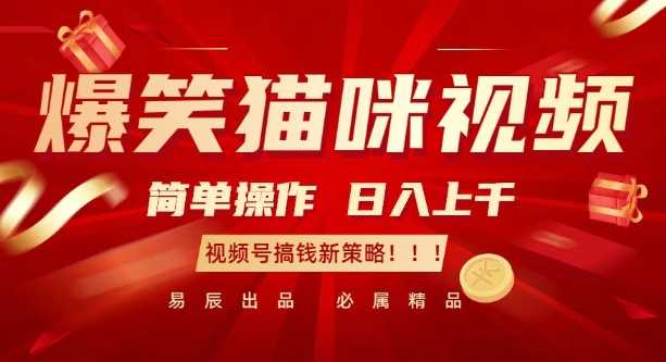 爆笑猫咪视频：简单操作，日入过K，视频号搞钱新策略【揭秘】 - 猎人社区-猎人社区