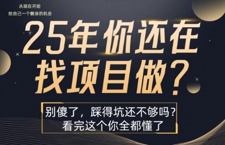 25年，你还在疯狂的找项目吗？别傻了，看完这个你都懂了【揭秘】 - 猎人社区-猎人社区