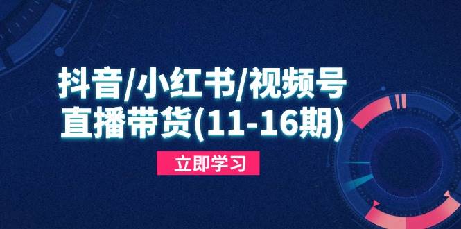 抖音/小红书/视频号/直播带货(11-16期)，快速掌握平台规则，打造爆款内容 - 猎人社区-猎人社区
