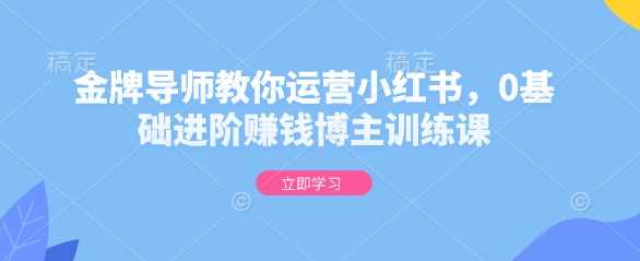 金牌导师教你运营小红书，0基础进阶赚钱博主训练课-猎人社区