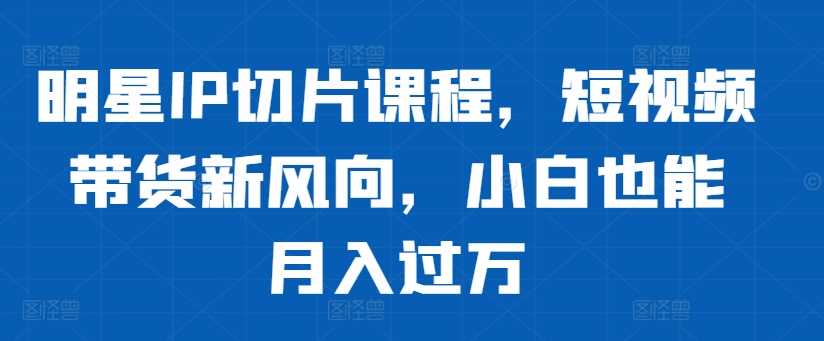 明星IP切片课程，短视频带货新风向，小白也能月入过万-猎人社区