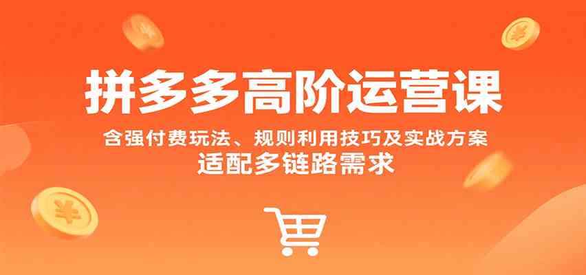 拼多多高阶运营课，含强付费玩法、规则利用技巧及实战方案，适配多链路需求 - 猎人社区-猎人社区