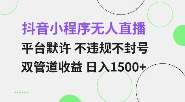 抖音小程序无人直播 平台默许 不违规不封号 双管道收益 日入多张 小白也能轻松操作【仅揭秘】 - 猎人社区-猎人社区