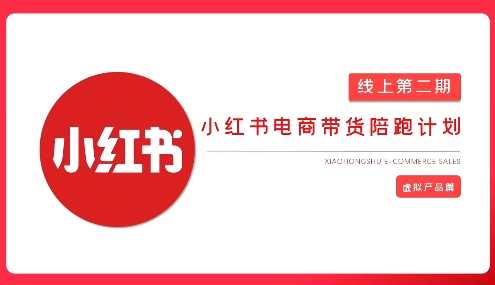 2025小红书虚拟电商实战课，从0到1打造无货源店铺，AI+爆款笔记轻松变现-猎人社区